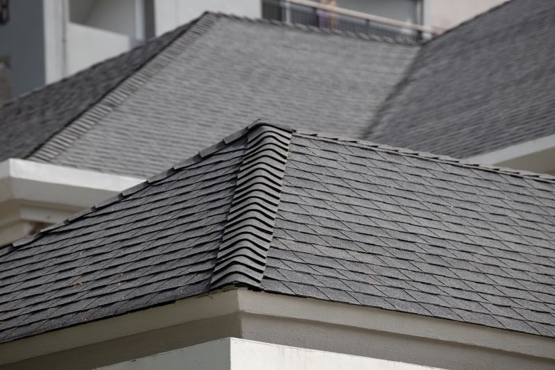 Asphalt Shingles Cleaning detail