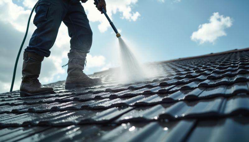 Metal Roof Cleaning detail
