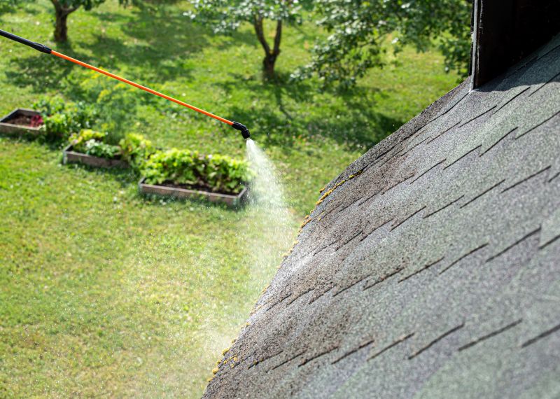 Roof Algae Removal detail