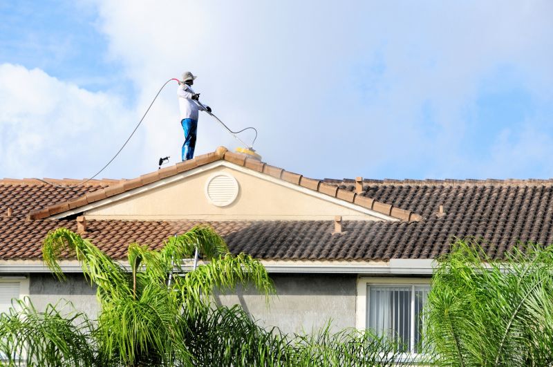 Roof Mildew Removal detail