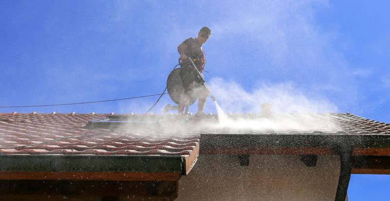 Tile Roof Cleaning detail